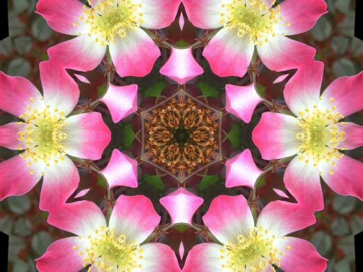 434648 (a): :2400x1800